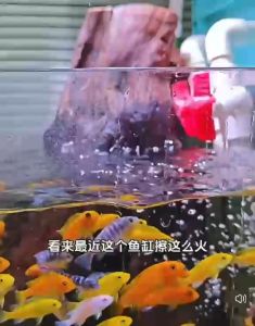 Aquarium Fish Tank Magic Wipe Sponge Descaling and Cleaning Limescale Glass Stain Remover