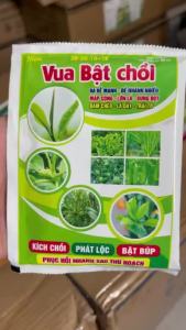 Phân bón Vua Bật Chồi 50g – Ra rễ mạnh nảy chồi nhanh lá dày mướt – Phục hồi cây sau thu hoạch