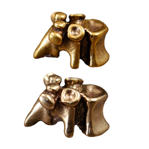 Artistic Brass Keychain Lanyard Beads with Spine Shape Functional Everyday Gear Paracord Rope Bead Costume Accessories