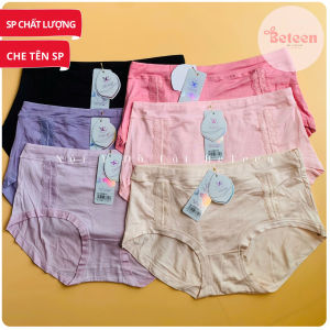 ComBo 5 Quần Lót Nữ Cotton Phom To Lưng Cao  Co Giãn  Quần Chíp Quảng Châu Mát Mịn Thoáng Khí - Nội Y Đồ Lót : BETEEN