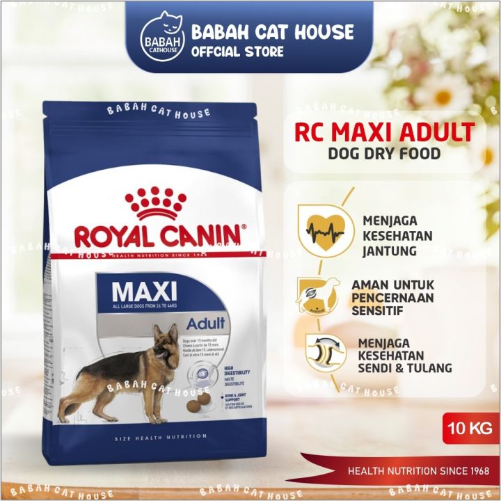 Dog food clearance untuk golden retriever