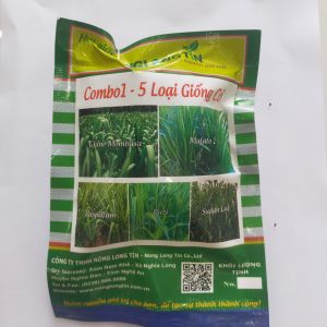 Combo 5 Loại Giống Cỏ Chăn Nuôi (Ghine Mombasa Mulato Ruzi Paspalum Sudan Lai)