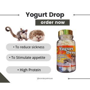YPA Yogurt Drop Sugar Glider Hedgehog 50gram
