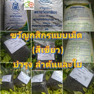 ปุ๋ยอินทรีย์แบบเม็ด (สีเขียว)แบ่งขาย ขนาด 5 กก." ขวัญกสิกร "บำรุงลำต้นและใบ*******กรุณาอ่านเงื่อนไขก่อนสั่งซื้อ