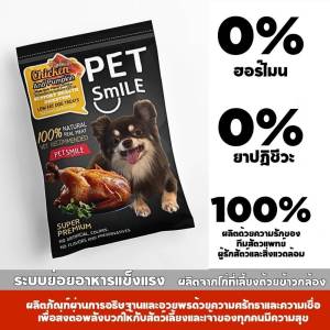 PETSMILE ขนมสุนัขอกไก่ LEAN ไขมันต่ำ ผสมฟักทองออร์แกนิก 50g