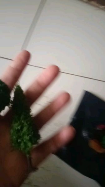 Buyer review video 3