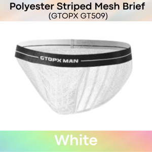 Mens Brief: Mesh Opaque Striped Brief (GT509)