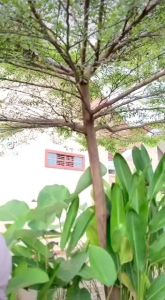 Gamis susun rayon viscose nabila dress