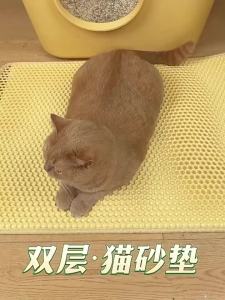 Double Layer Cat Litter Mat Anti-Scatter Litter Trapping Pad Prevents Litter Spilling Keep Floor Clean for Cat Litter Box2026