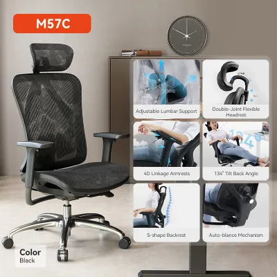 SIHOO M57C (Upgrade of M57) Ergonomic Office Chair Mesh Chair Adjustable Lumbar Support Home Office 4D Armrests
