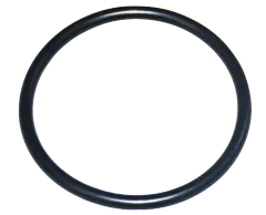 Pentair 87300400Z O-Ring, Schwarz – Ersatzdichtung Für Pool- & Spa-Filter