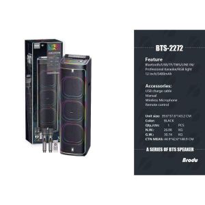 BTS-2272 12 inch Professional outdoor karaoke speaker Equipped with dual micr and audio input