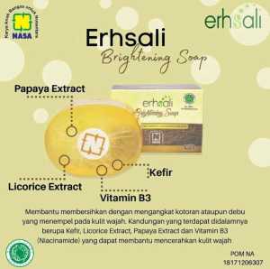 Erhsali Sabun Nasa - Anti Jerawat - Brightening - Flek - Menyegarkan Wajah - 100 % Original / GMEELAN SKINCARE