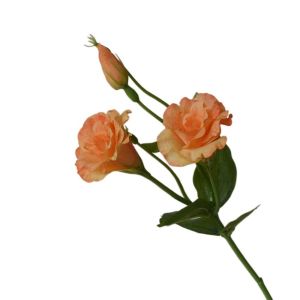 HUNIU HOUSE Giống như thật Hoa lisianthus nhân tạo Cảm ứng thật Hoa lụa Hoa eustoma giả Đạo cụ chụp ảnh Đồ dùng cho bữa tiệc Bó hoa nhân tạo Trang trí nhà cửa