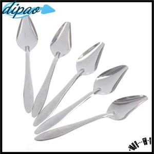 【dipao】 5Pc Baby Bird Pointed Feeding Spoon Stainless Steel Milk Parrot Feeder