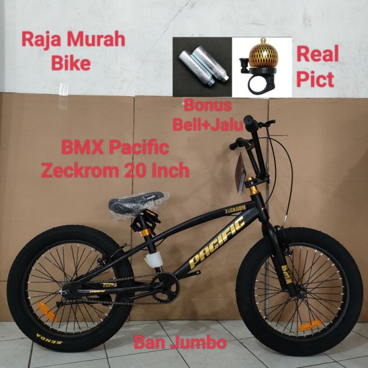 Pacific bmx outlet