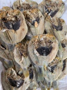 Ikan Asin Kakapan Ikan Kering Kakapan Ikan Laut Kering