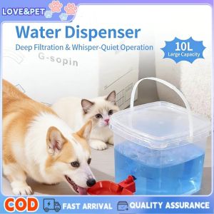 Dog Water Dispenser Pet Automatic Water Feeder Large Capacity Transparent Bucket Water Fountain