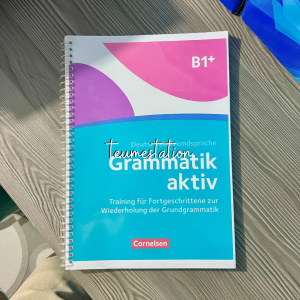 Grammatik Aktiv A1-B1 B1+ Exercise Books