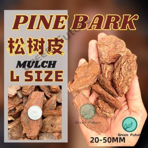 1 KG L size PINE BARK/ Pine scale Orchid potting Pine Bark MURCH GARDENING PLANTING PINE BARK 松鳞松树皮 树皮 (L size/20-50mm)