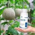 Phân Bón Lá Canxi-Bo Vi Lượng Dế Mèn – Hỗ Trợ Đậu Trái, Hạn Chế Nứt Trái, Rụng Trái Non 500ml, 5lít. 
