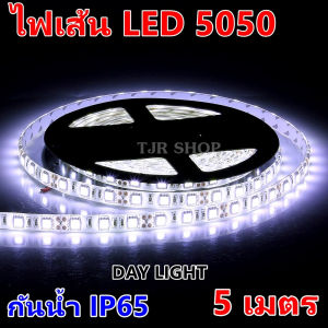 Bewon ไฟเส้น LEDs 300 เม็ด ไฟนิ่ง กันน้ำ IP 65 ระบบ DC12V 9W สี ขาว (Day Light) ยาว 5 เมตรโล๊ะ