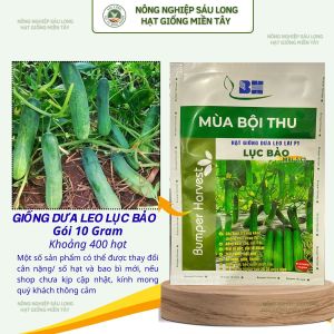 HẠT GIỐNG DƯA LEO LỤC BẢO MPL 572 10G