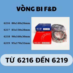 Vòng bi F&D 6216 6217 6218 6219
