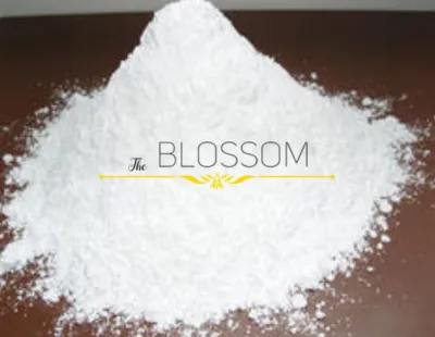 Plaster of Paris/ Casting Powder/Aroma Stone Powder/Gypsum Powder (High Density & Non-toxic)
