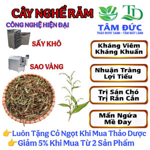 Cây nghể răm sấy khô  [1kg] TẶNG  [100g] cỏ ngọt - hỗ trợ điều trị mẩn ngứa  mề đay  mụn nhọt  dị ứng