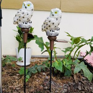 Đèn trang trí sân vườn chống thấm nước hình chim Cú sử dụng Năng Lượng Mặt Trời