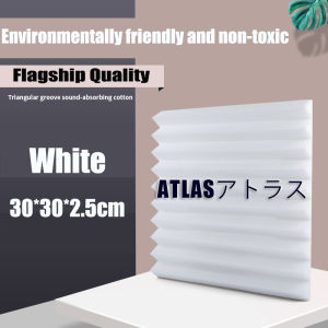 12PCS 300x300x25mm Acoustic Foam Sound Insulation Panels for KTV Bar Soundproofing Studio Wedges Sound Proof Wall Panels Espuma