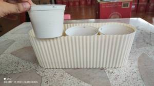 เซ็ท กระถางน่ารักเกินปุยมุ้ย + กระถาง 4 นิ้ว มีหลายสีให้เลือก รับประกันความน่ารัก สินค้าพร้อมส่ง