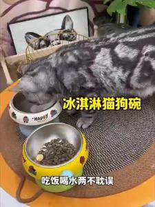 Stainless Steel Elevated Cat Bowl Cute Ice Cream Food &Water Bowl With Non-Slip Rubber Base