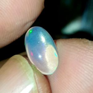 Kalimaya Kristal Jarong Jozz Nyalanya 24 Jam