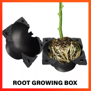Plant Rooting Device Reusable Plant Box High Pressure Propagation Ball High Pressure Box Grafting
