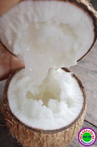 DỪA SÁP BI ĐẶC (600gr-800gr)