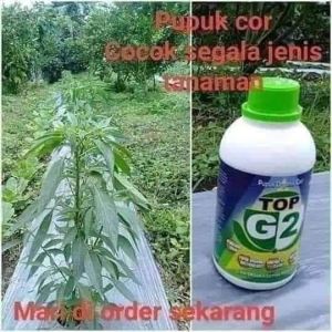 1 Botol Pupuk organik cair TopG2 HWI