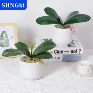 [COD] 🔥🔥🔥SHNGki Phong Lan Lá Nhân Tạo Phalaenopsis Thân Cây Lá Giả Cymbidium Hoa Lá Màu Xanh Lá Cây Bất Cảm Ứng Cao Su Số Lượng Lớn Trang Trí Nội Thất