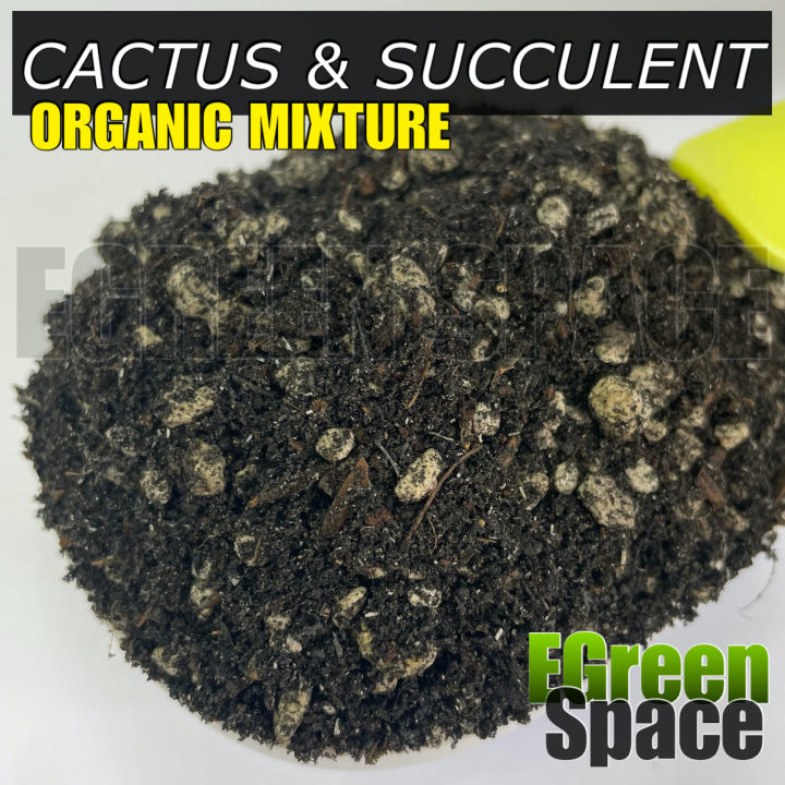 Cactus and Succulent Soil Soil-less Potting Mix 1kg | Lazada PH