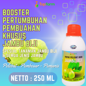 Pupuk Buah Khusus Jambu / Pupuk Jambu Kristal / Pupuk Jambu Anti Rontok / Pupuk Jambu Jamaika / Pupuk Jambu Madu Deli / Pupuk Jambu Citra