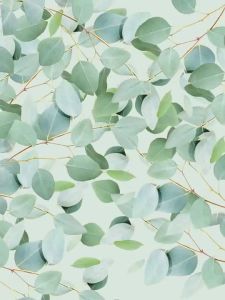 FREI OL German Body Oil ✨ Fragrance & Nourishing Perfect for Dry Skin