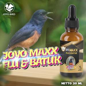 OBAT BURUNG BATUK PILEK | OBAT BATUK | OBAT FLU | OBAT PILEK| MAXX FLU & BATUK