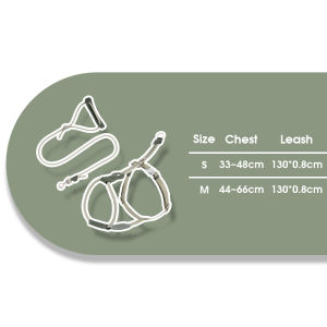 HIDREAM Dog Leather Rope Harness Set Adjustable H Design Lightweight No Tangle For 16kg