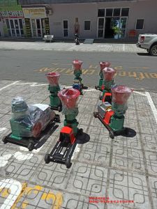 Máy ép cám trục liền s160 -3l lắp sắn mô tơ toàn phát 3500w