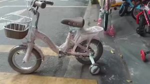 Xe đạp mini xe đạp cho bé gái Xaming 1 KHUNG full size 12_20 hàng cao cấp