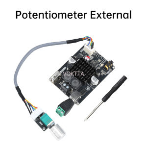 XY-1001W 100W Mono Bluetooth 5.0 Amplifier Board – TPA3116 DC 9-24V TWS Pairing APP Control