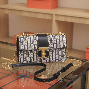High-Quality Womens Bag 2024 New French Style Printed Chain Crossbody Bag