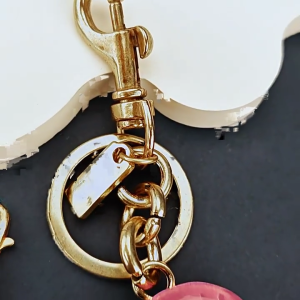 Mới lạ ốc khuôn mẫu Keyring với mịn vành phụ kiện quan trọng tinh vi thích hợp cho thanh thiếu niên người lớn bộ sưu tập