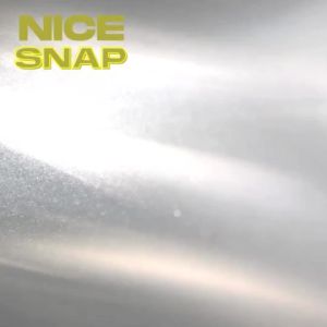 Tornado Fishing TDF Nice Snap Fishing Snap Outdoor Fishing Accessories